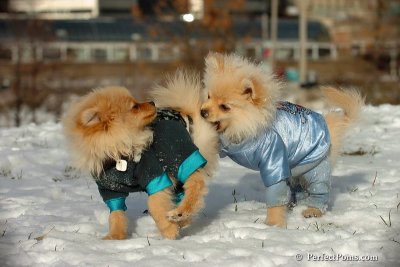Dec4_07_343.jpg