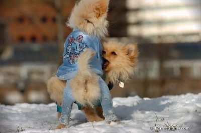 Dec4_07_346.JPG