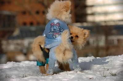 Dec4_07_348.JPG