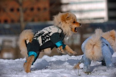 Dec4_07_349.jpg