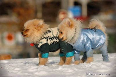 Dec4_07_358.jpg