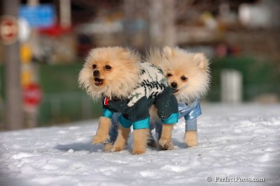 Dec4_07_362.jpg