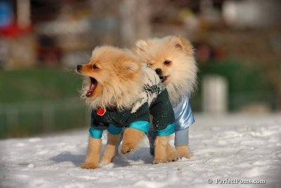 Dec4_07_367.jpg