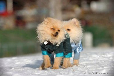 Dec4_07_369.jpg