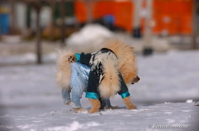 Dec4_07_395.JPG