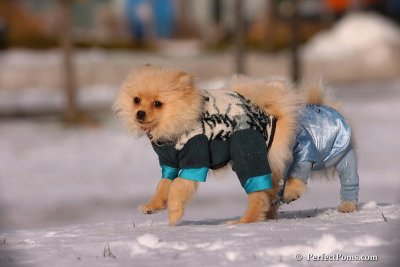 Dec4_07_396.jpg