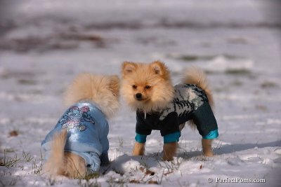Dec4_07_397.jpg