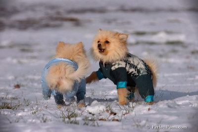 Dec4_07_398.jpg