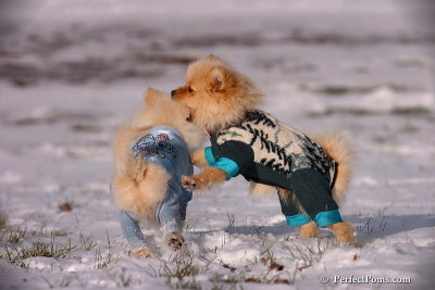Dec4_07_399.jpg