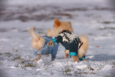 Dec4_07_400.jpg