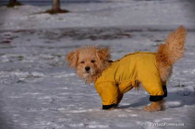 Dec4_07_402.JPG