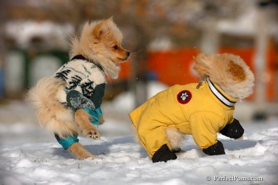 Dec4_07_244.jpg
