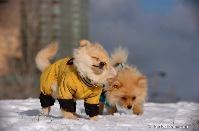 Dec4_07_248.JPG