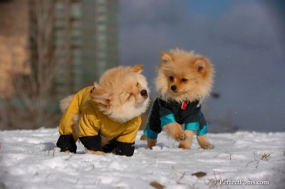 Dec4_07_251.JPG