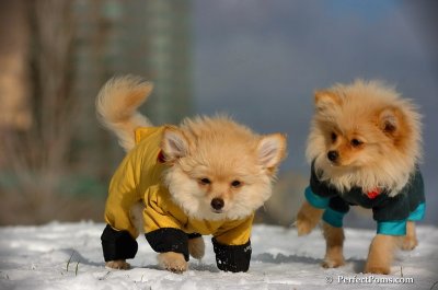Dec4_07_258.JPG