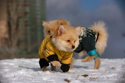 Dec4_07_261.JPG