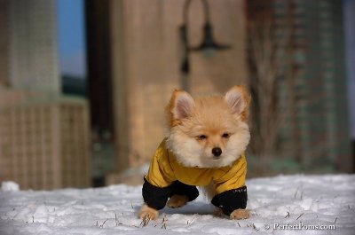 Dec4_07_267.JPG