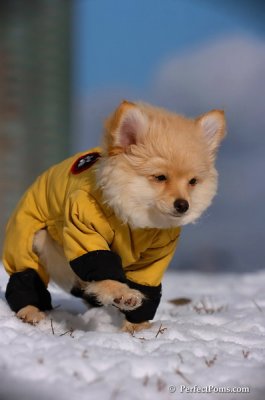 Dec4_07_271.JPG