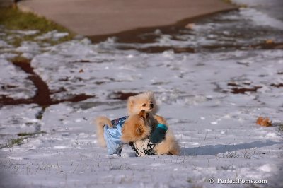 Dec4_07_404.jpg
