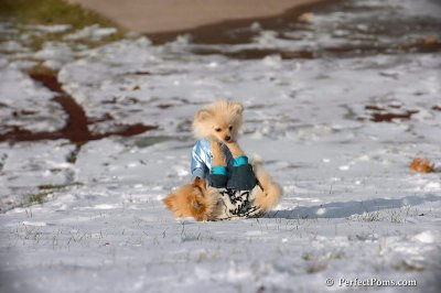 Dec4_07_405.jpg