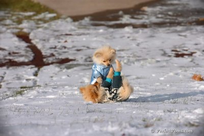 Dec4_07_406.jpg