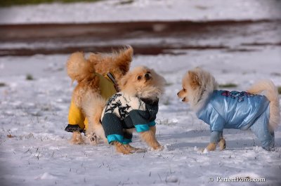 Dec4_07_407.JPG