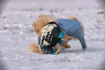 Dec4_07_408.jpg