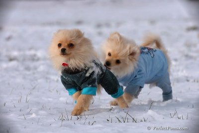 Dec4_07_409.jpg