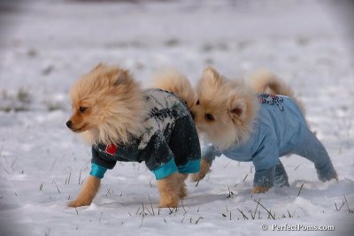 Dec4_07_410.jpg