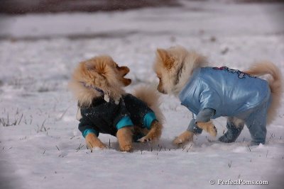 Dec4_07_413.jpg