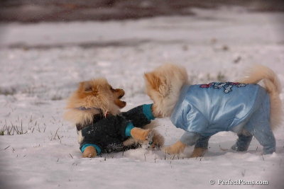 Dec4_07_414.jpg