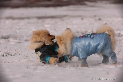 Dec4_07_415.jpg