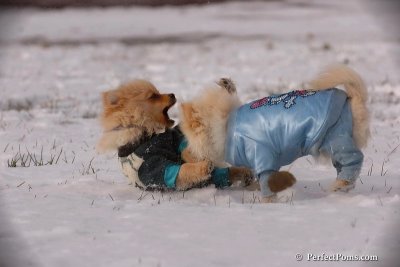 Dec4_07_416.jpg