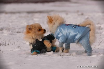 Dec4_07_417.jpg