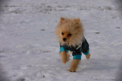 Dec4_07_419.jpg