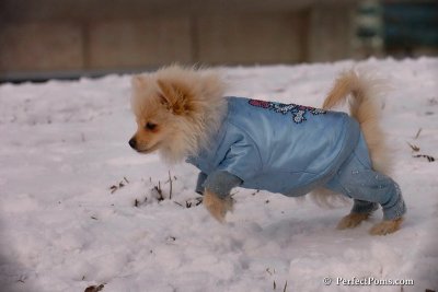 Dec4_07_420.jpg