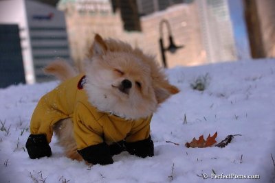 Dec4_07_421.jpg