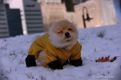 Dec4_07_423.jpg