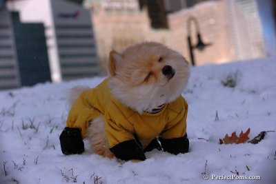 Dec4_07_424.jpg