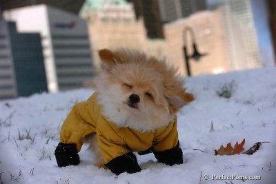 Dec4_07_425.jpg