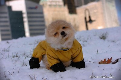 Dec4_07_426.jpg