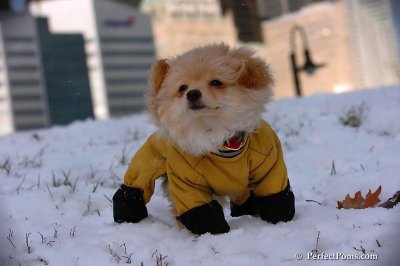 Dec4_07_427.jpg