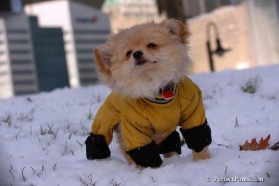 Dec4_07_428.jpg
