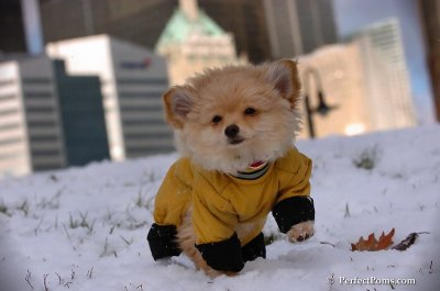 Dec4_07_429.JPG