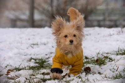 Dec4_07_430.jpg