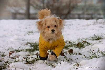 Dec4_07_431.jpg