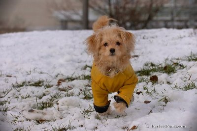 Dec4_07_433.jpg