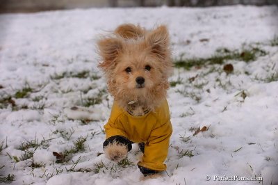 Dec4_07_435.jpg