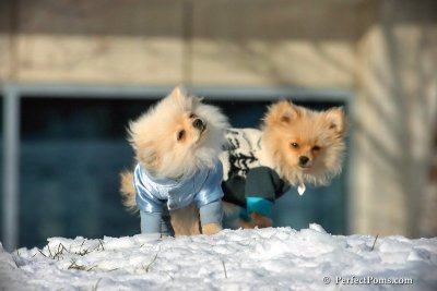 Dec4_07_436.jpg