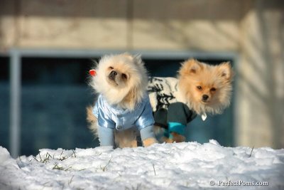 Dec4_07_437.jpg